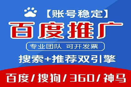 谷歌竞价广告的投放策略与成功案例分析